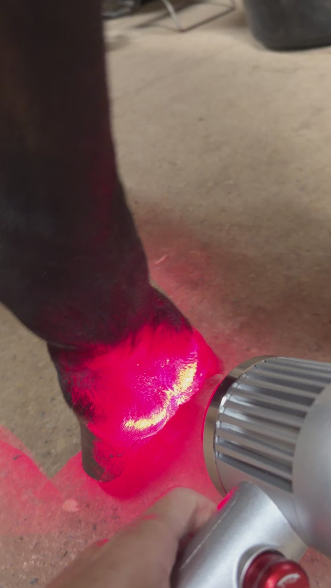 SV Equine Therapy Class IV Handheld Veterinary Laser – 2300mW - Professional Use Only — Class IV Laser Safety