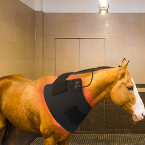 A horse wearing a black and red LED light therapy pad on its neck.