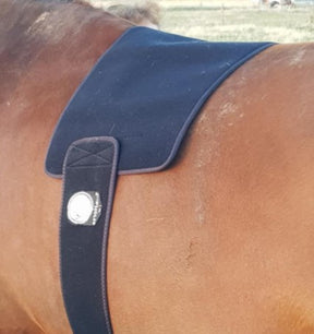 Medium wireless LED red light therapy pad for horse 