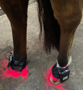cordless equine LED therapy device