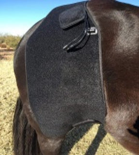 Large washable red light therapy pad for horses